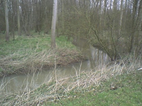 Le Ruisseau du Vivier arrive du Marais et longe le chemin de l´Attre