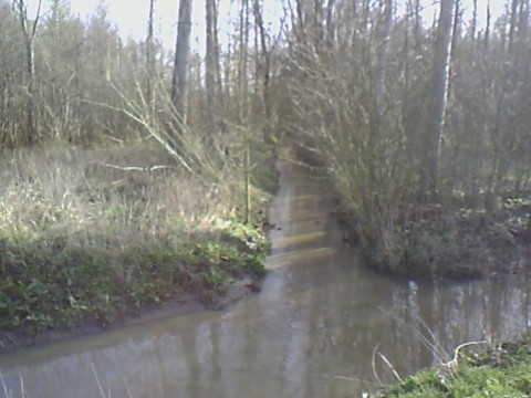 Le Ruisseau du Vivier arrive de la droite et se jette dans le Rosoir