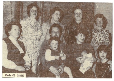 CAROLE (Dereux-Bauffe) – 1984 CAROLE (Dereux-Bauffe) – 1984